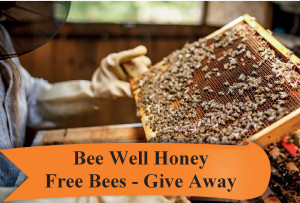 free bees