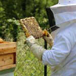 beekeeping