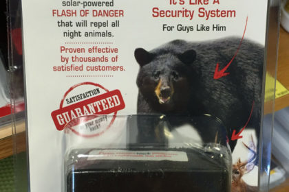niteguard nite guard