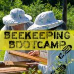 beekeeping bootcamp bee well honey farm