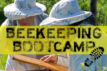 Beekeeping Boot Camp Class - Register Today - Bee Well Honey Farm