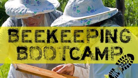beekeeping bootcamp bee well honey farm