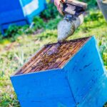 bee well honey farm beekeeping