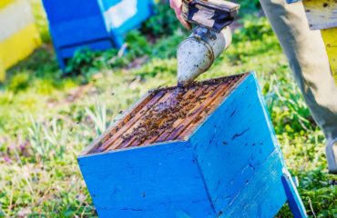bee well honey farm beekeeping