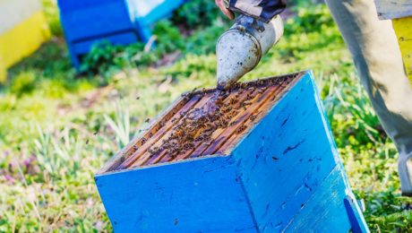 bee well honey farm beekeeping