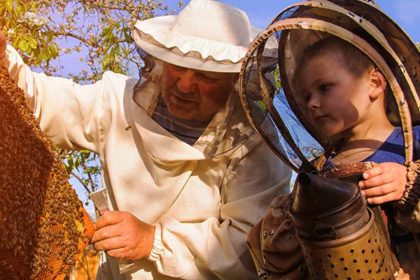 How to Become a Beekeeper