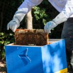 bee well honey farm