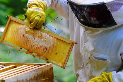 Common Sense Beekeeping Class - Feb 1, 2020 - Bee Well Honey Farm