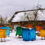 beekeeping tips for december bee well honey farm