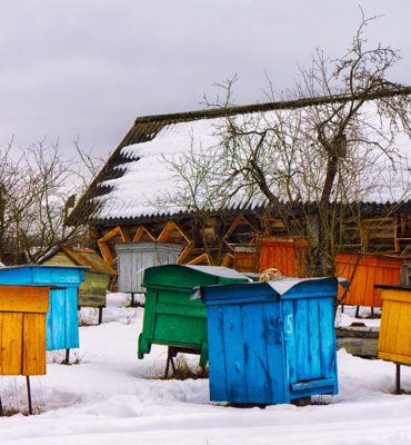 beekeeping tips for december bee well honey farm