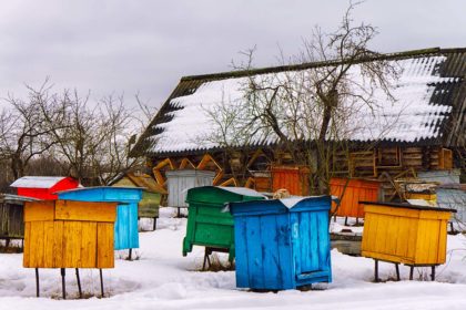 Bee hives in winter. Belarus. beekeeping tips for december bee well honey farm