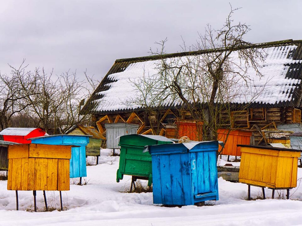 beekeeping tips for december bee well honey farm
