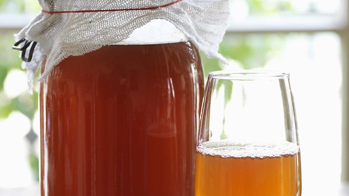 kombucha making class bee well honey farm