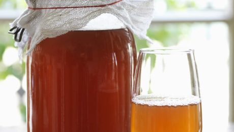 kombucha making class bee well honey farm