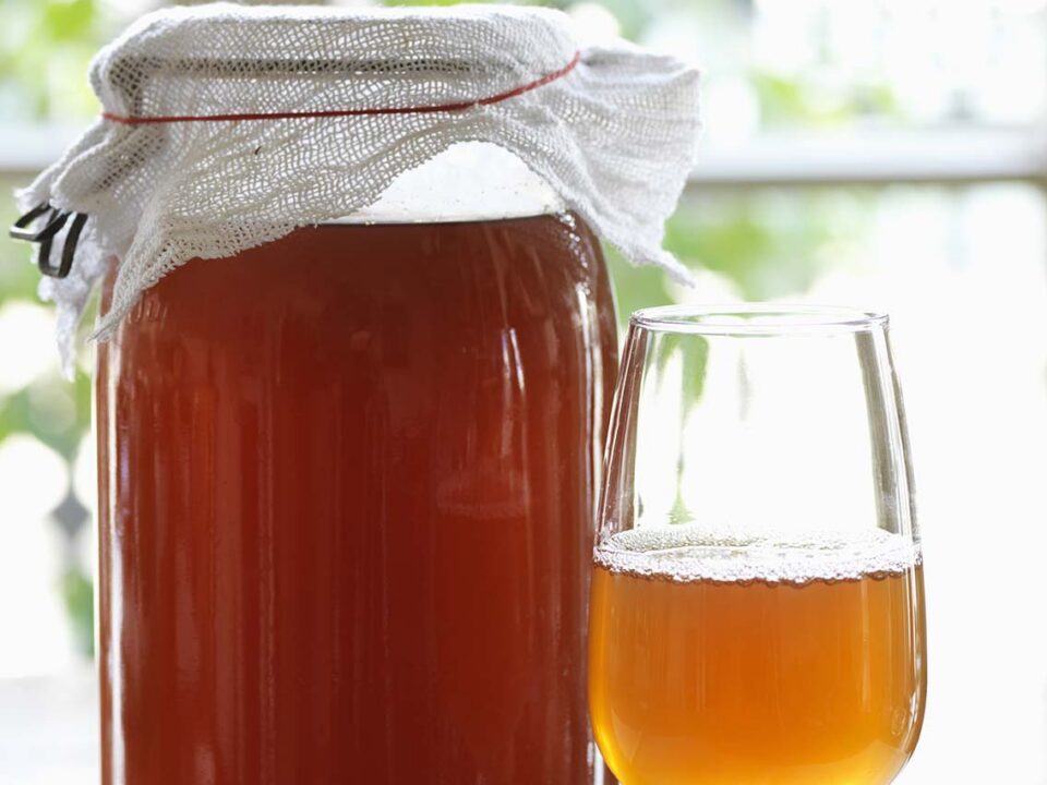 kombucha making class bee well honey farm