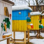 beekeeping tips for february bee well honey
