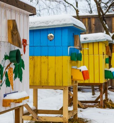 beekeeping tips for february bee well honey