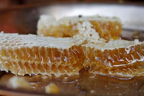 How To Extract Honey - Bee Well Honey