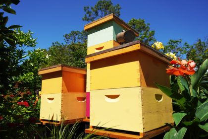 beehives fb cover beekeeping tips for may