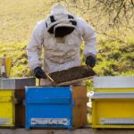 beekeeper
