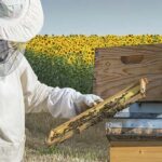 bee well honey farm
