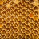 get rid of that laying work bee
