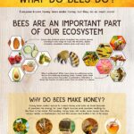 what do bees do