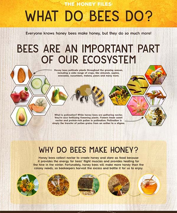what do bees do