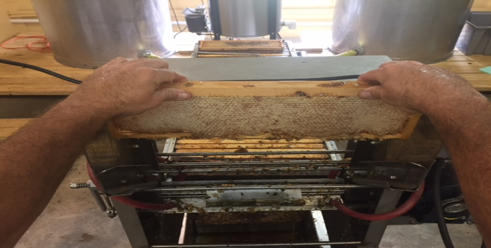 Beekeeping Articles and Helpful Information - Bee Well Honey Farm