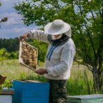colony inspections