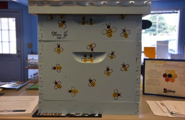 bee hive bee well honey farm