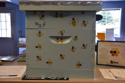 hive bee hive bee well honey farm