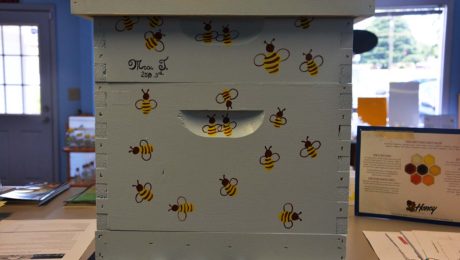 bee hive bee well honey farm