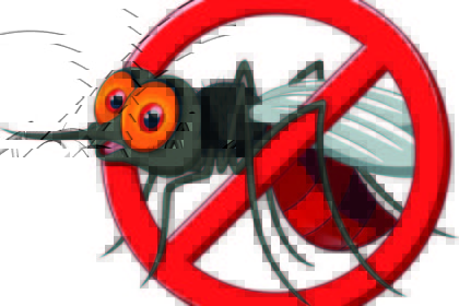 mosquito