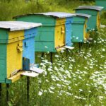 how to split a hive