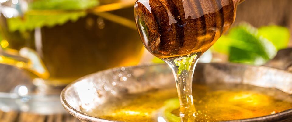 bee well honey